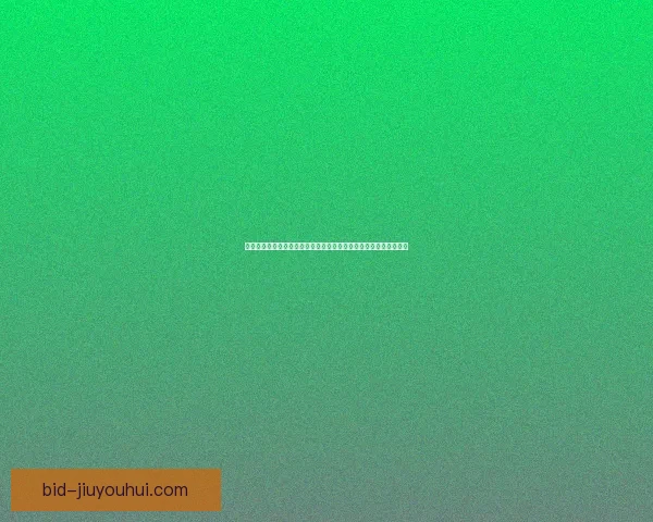 吕迪格对阵巴西世俱杯表现数据全景解析与战术价值评估及深度透视